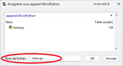 Nommer le script Python "main.py"