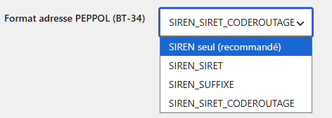 Format de l’adresse PEPPOL de l’émetteur