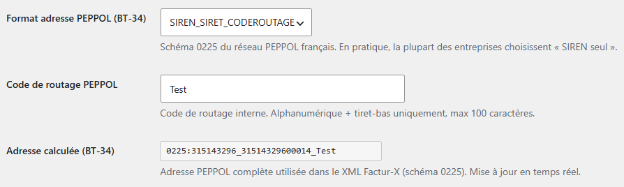 Adresse Peppol calculée à l’aide du SIREN, du SIRET et d'un code de routage